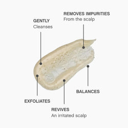 KEVIN.MURPHY SCALP.SPA SCRUB Pre-Wash Scrub Exfoliator - For All Hair Types & Dry Scalp - Sulphate Free, Clarifying Scalp Cleanser With Perlite & Micellar Water - 180 mL