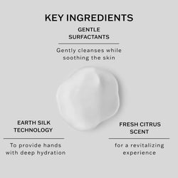 Sachajuan Hand Wash Shiny Citrus by Sachajuan for Unisex - 16.9 oz Hand Wash, 499.8 millilitre