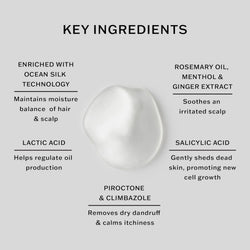 Sachajuan Scalp Shampoo, 250 milliliters
