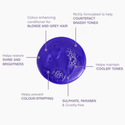 KEVIN.MURPHY BLONDE.ANGEL.WASH Sulphate-Free, Purple Shampoo - For Blonde & Grey Hair - Colour Enhancing & Brass Neutralising Hair Care with Lavender & Murumuru Butter - 250mL