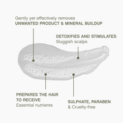 KEVIN.MURPHY MAXI.WASH Sulphate-Free, Clarifying Shampoo - For All Hair Types/Oily Scalp - Detox, Scalp Cleansing Shampoo with Rosemary, Grapefruit & Tea Tree Oil - 250 mL
