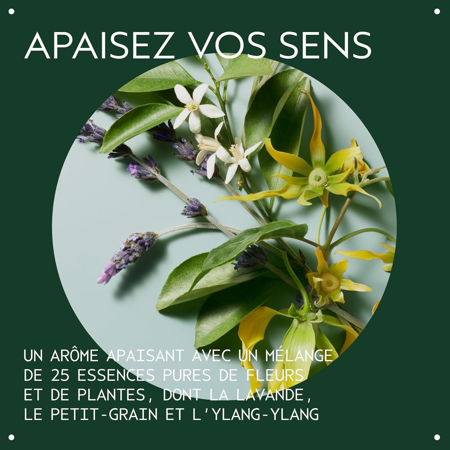 Aveda Shampure Conditioner, 1000 ml