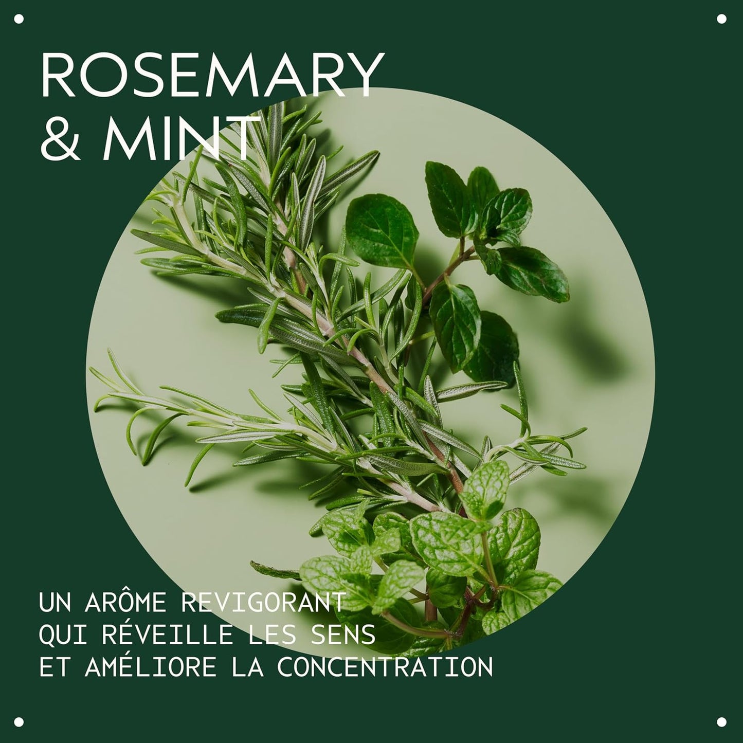 AVEDA Rosemary Mint Hair Shampoo 1000ml