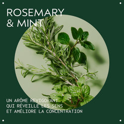 AVEDA Rosemary Mint Hair Shampoo 1000ml