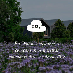 Davines Alchemic System Alchemic Conditioner Chocolate 250ml