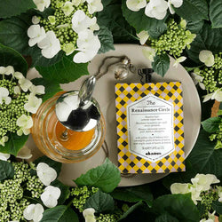 Davines Renaissance Repair Hair Mask